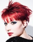 Trends for Short Hair (44)