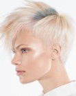 Trends for Short Hair (44)