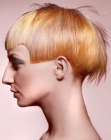 Trends for Short Hair (44)
