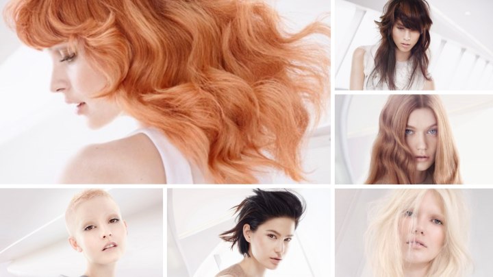Distilled Collection by Wella
