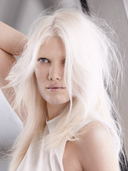 Distilled Collection by Wella