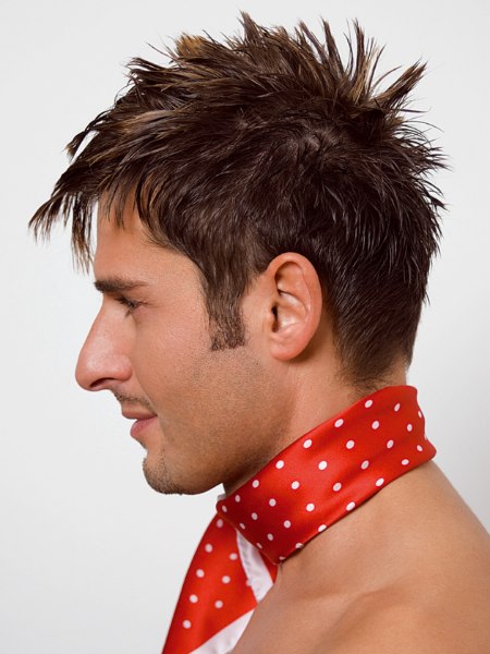 Hairfashion Spring / Summer 08