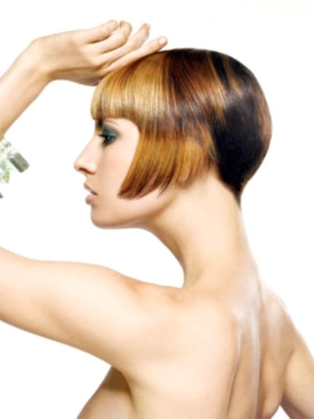Primaries by Joico