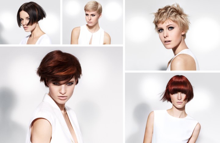 Iconic by Sassoon