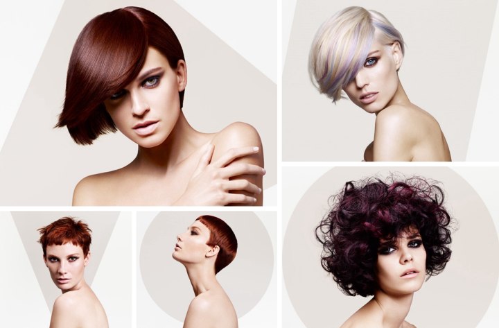 Constructivist by Sassoon
