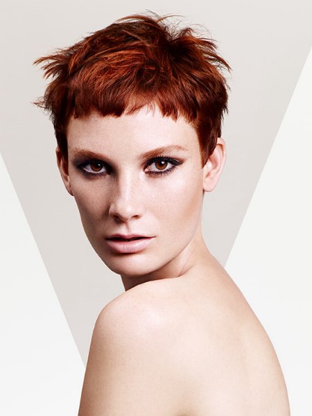 Constructivist by Sassoon