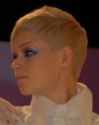 Short and Very Short Women's Hairstyles (39)