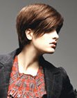 The Latest Cuts for Short Hair (17)