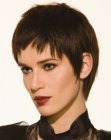 Photos of the Latest Short Hairstyles (16)