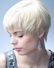 Photos of the Latest Short Hairstyles (16)