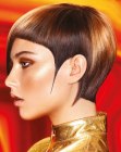 Photos of the Latest Short Hairstyles (16)