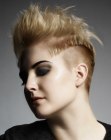 Short Hairstyles for Women (14)