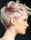 Short Hairstyles for Women (14)