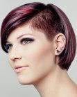 Short Hairstyles for Women (14)