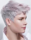 Short Hairstyles for Women (14)