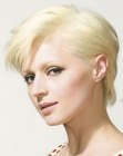 Short Hairstyles for Women (14)