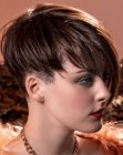 Short Hairstyles for Women (14)