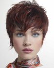 Short Hairstyles for Women (14)