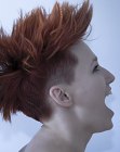 Short Hairstyles for Women (14)