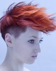 Short Hairstyles for Women (14)