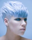Short Hairstyles for Women (14)