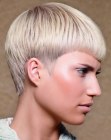 Short Hairstyles for Women (14)