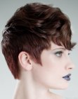 Short Hairstyles for Women (14)