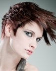 Short Hairstyles for Women (14)
