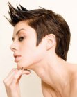 Pics of Short Fashion Haircuts (12)
