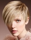 Pics of Short Fashion Haircuts (12)