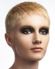 Pics of Short Fashion Haircuts (12)