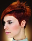 Pics of Short Fashion Haircuts (12)
