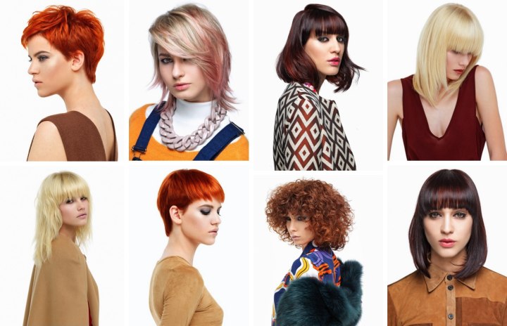 70s Tribute