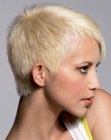 Trendy Hairstyles for Short Hair (11)