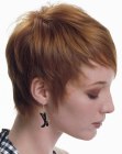 Hairstyles Pics for Short Hair (10)