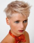 Hairstyles Pics for Short Hair (10)