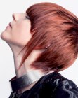 Hairstyles Pics for Short Hair (10)