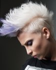 Hairstyles Pics for Short Hair (10)