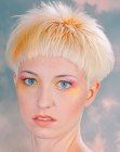 Hairstyles Pics for Short Hair (10)