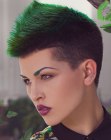 Hairstyles Pics for Short Hair (10)