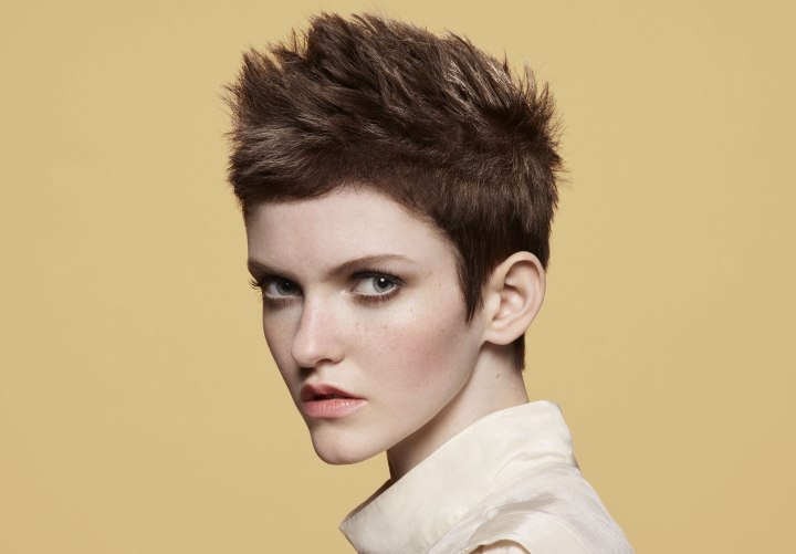 Very Short Haircut