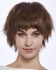 Ladies Short Hair Fashion (7)