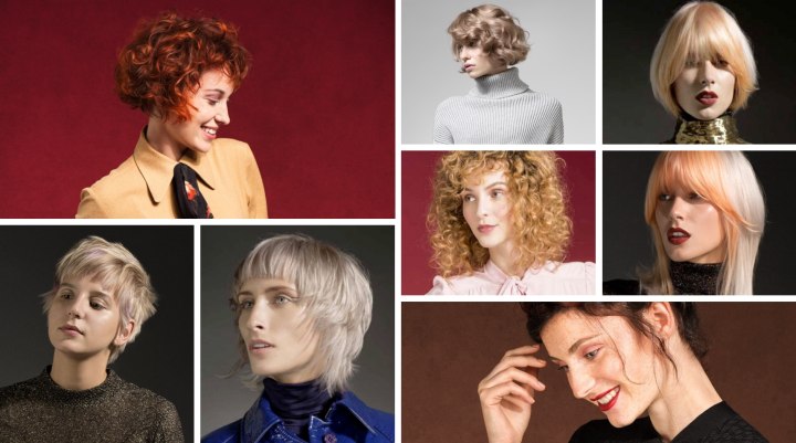 The dm Trend Collection