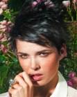 Pictures of Modern Short Haircuts (5)