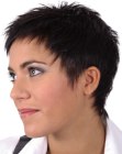 Pictures of Modern Short Haircuts (5)