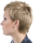 Pictures of Short Hairdos (4)