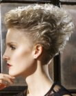 Pictures of Short Hairdos (4)
