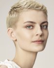 Pictures of Short Hairdos (4)