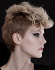 Pictures of Short Hairstyles (3)