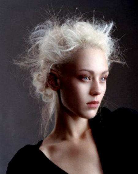 Claude Tarantino Hairstyles Collection